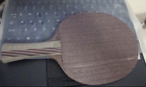 [ԭ��]���ͼ� �� ��ľ�� ��5.4�ȵ�