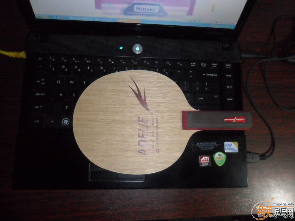 ��һ�������� ADELIE   ST��