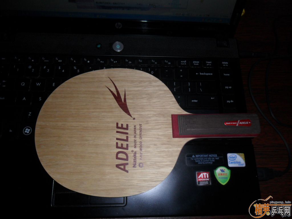 ��һ�������� ADELIE   ST��