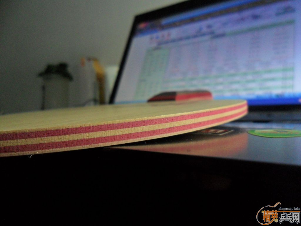 ��һ�������� ADELIE   ST��