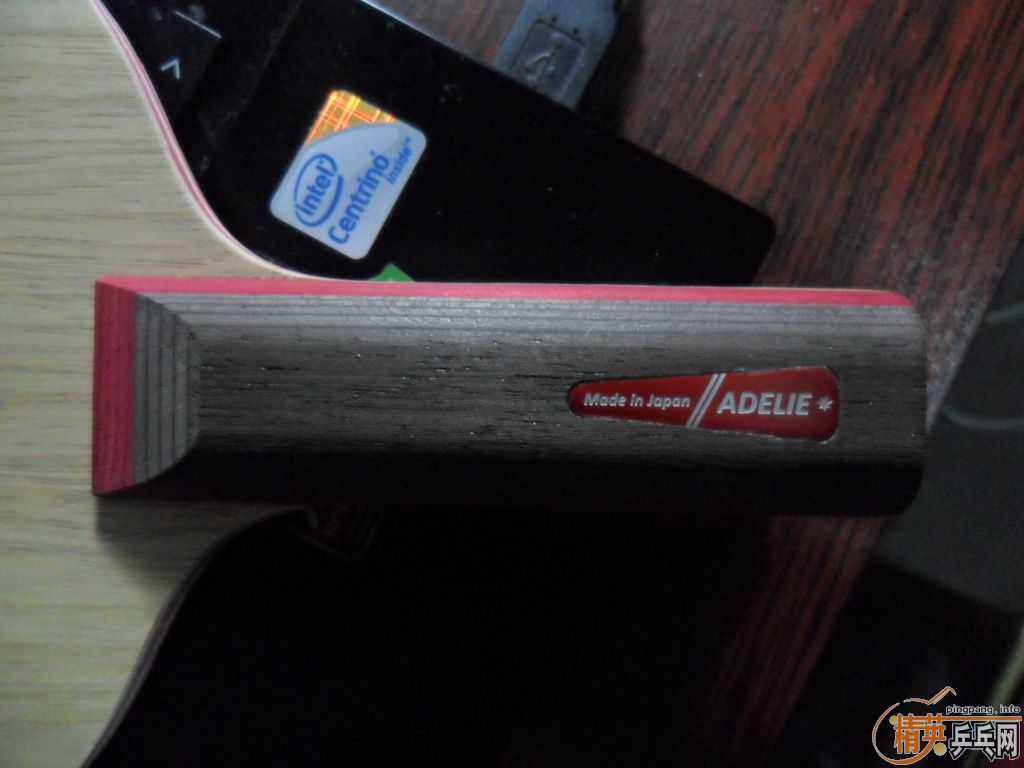 ��һ�������� ADELIE   ST��