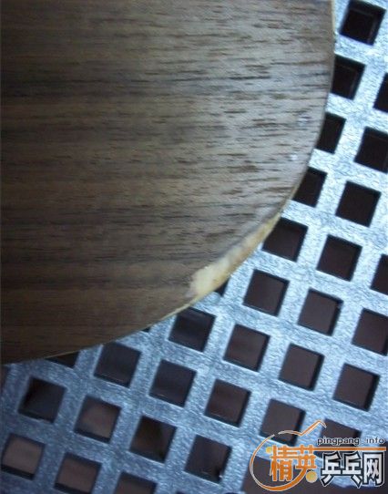 ����������YEO   220Ԫ���� �ͽ�Ƥ