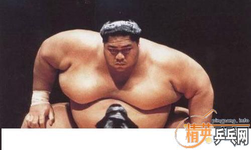 [ע��] ����/BOLL/ZLC/FL/NEW��/����#############################