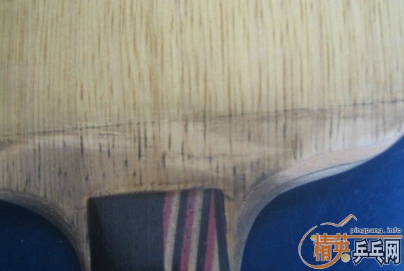 110����˹�������칥������.