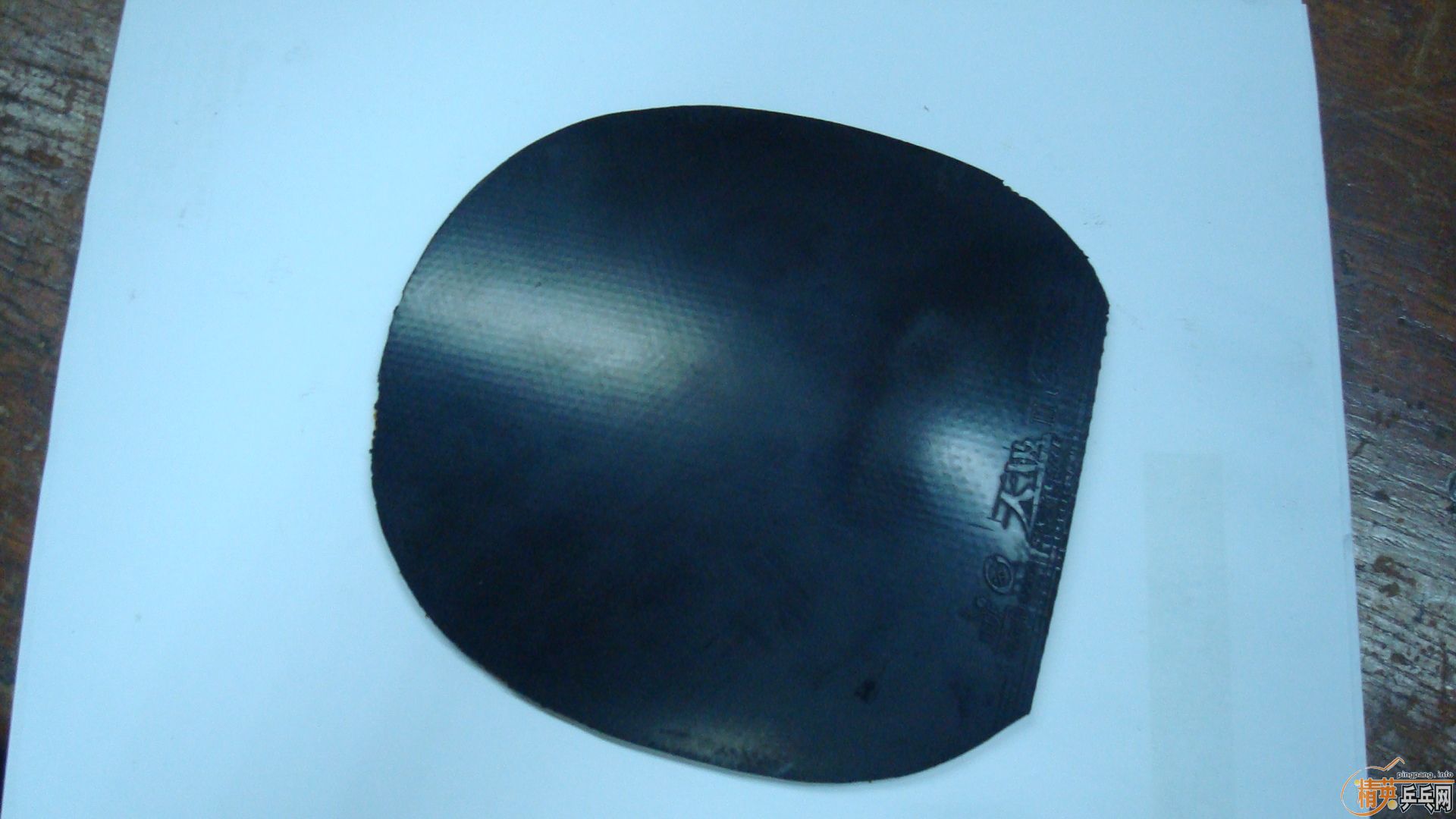 �л� YEO+�켫3+ZAP