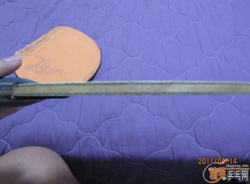 [ԭ]ϲ9.5һֻ