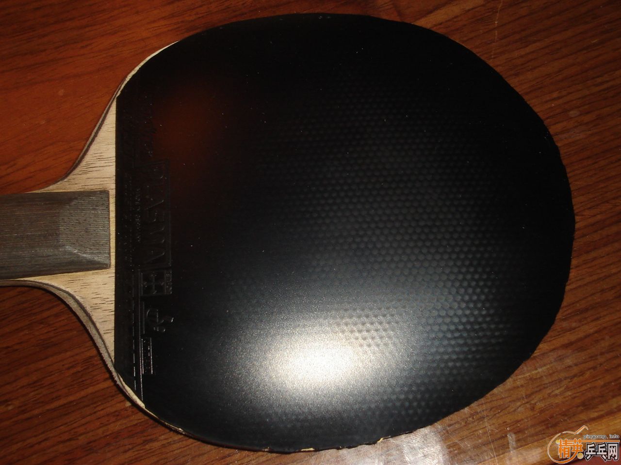 [ԭ��]120�����ʳ�������è