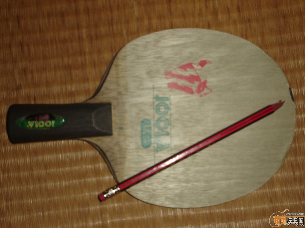 [ԭ��]120�����ʳ�������è