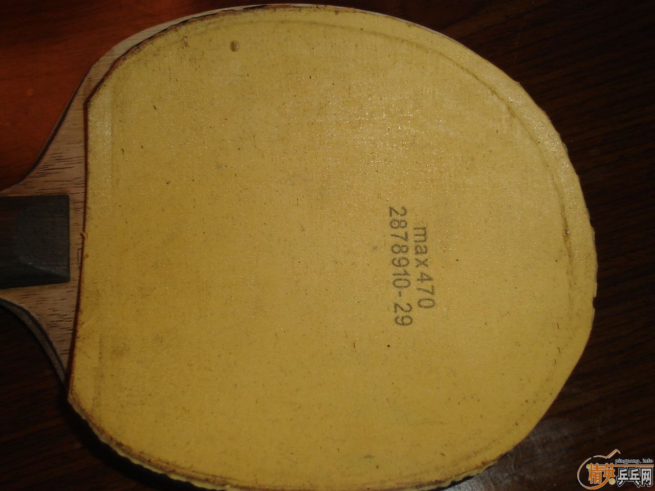 [ԭ��]120�����ʳ�������è