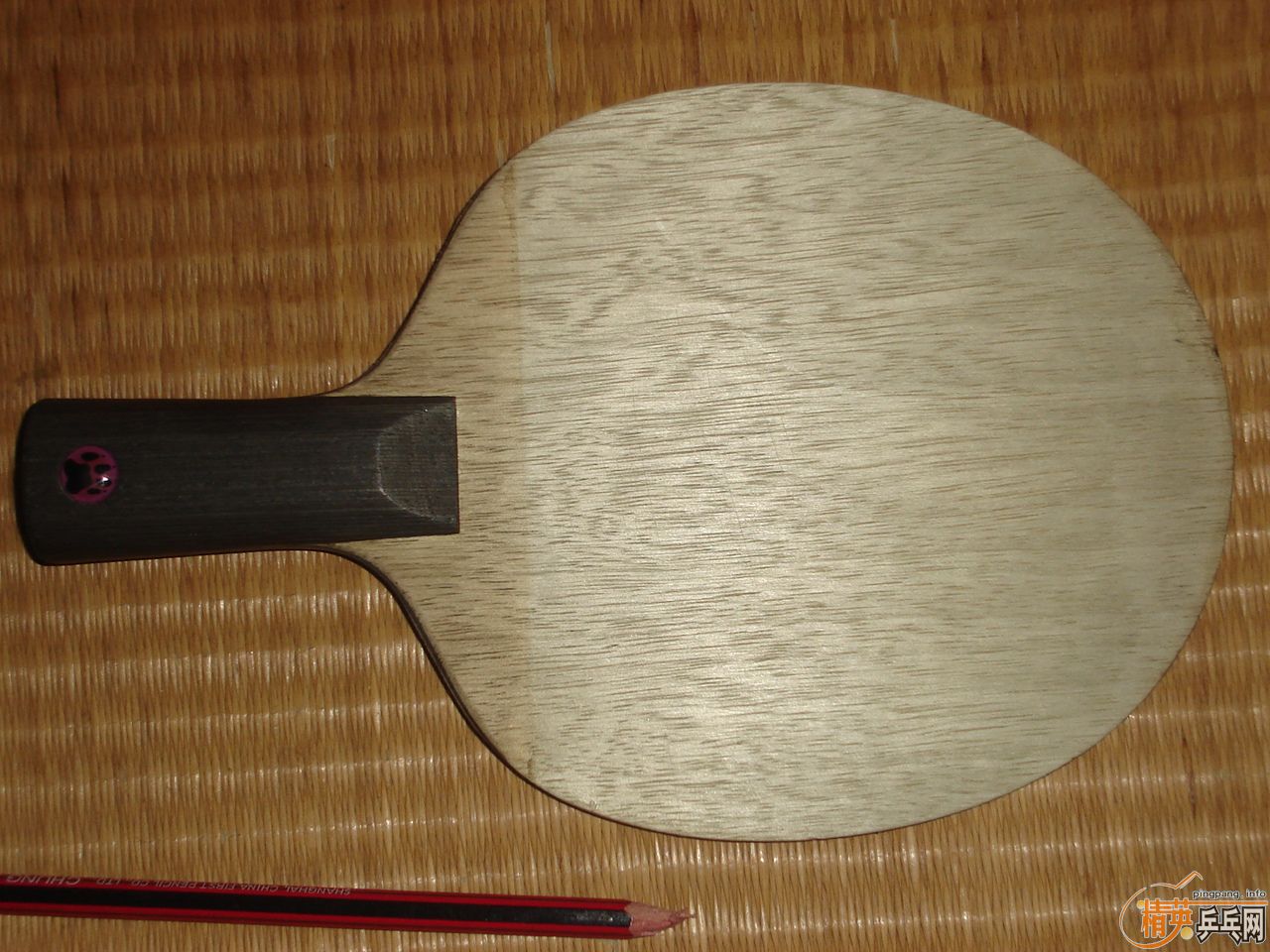 [ԭ��]120�����ʳ�������è