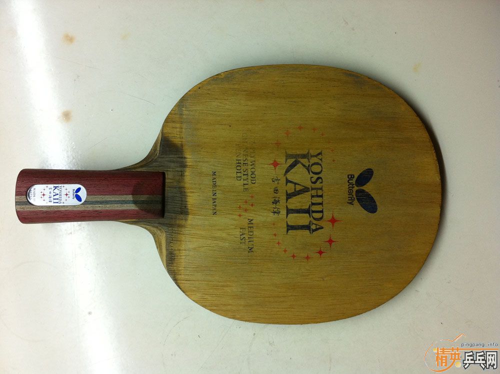 ������ˣ�ʩ̼�����񡢺�ڡ�ysc�����ﺣΰ��