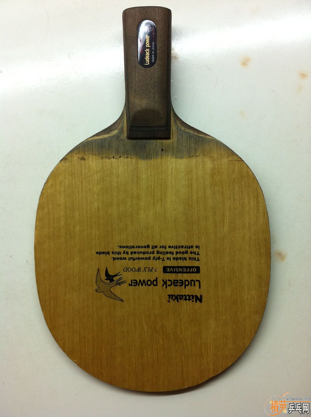 ������ˣ�ʩ̼�����񡢺�ڡ�ysc�����ﺣΰ��