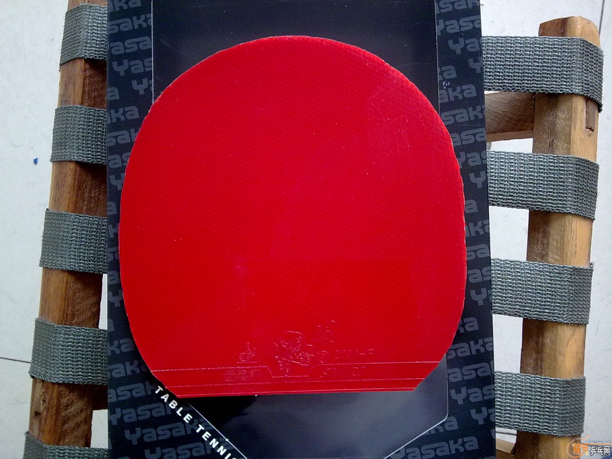 ������׽�