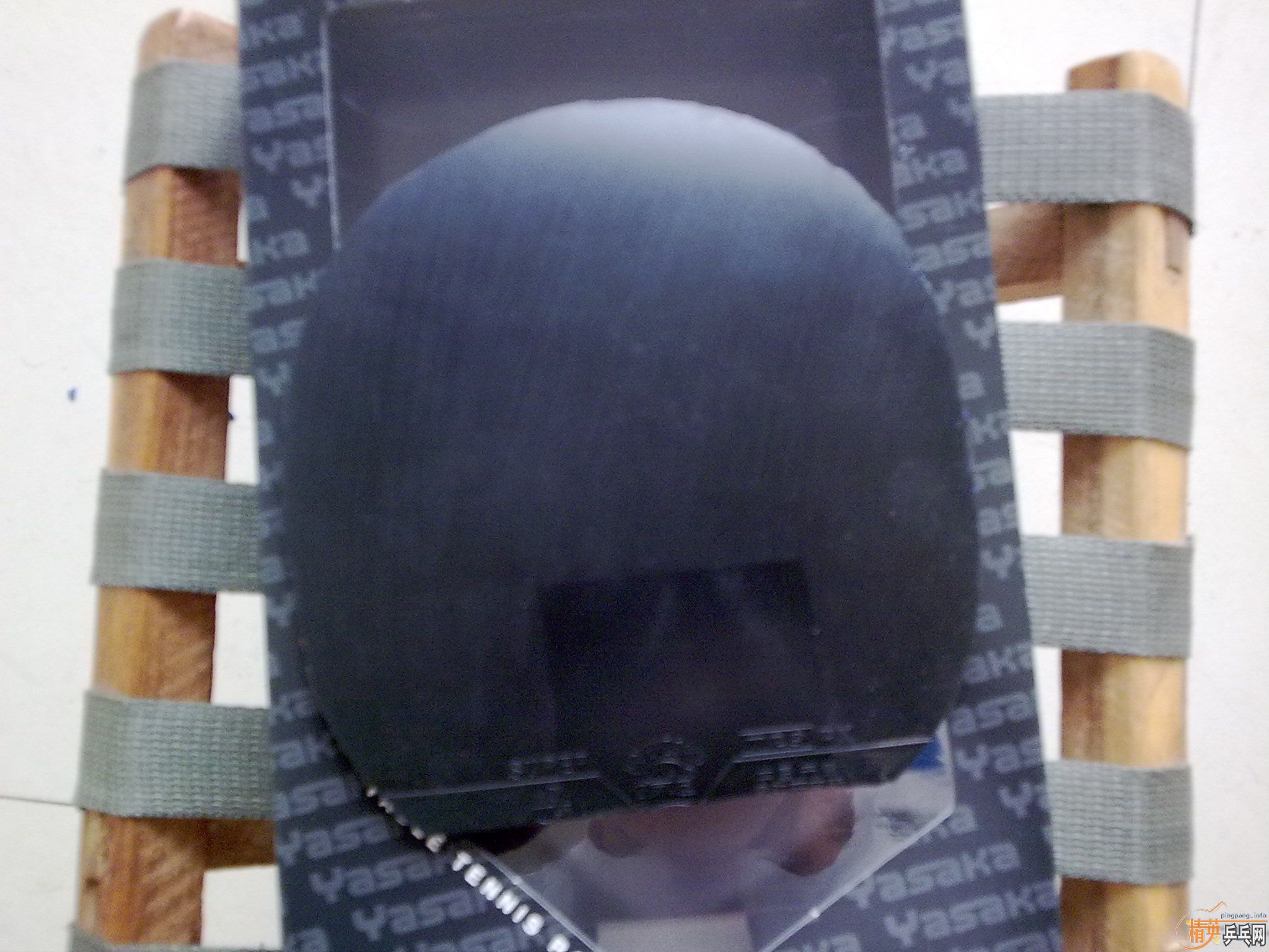 ������׽�