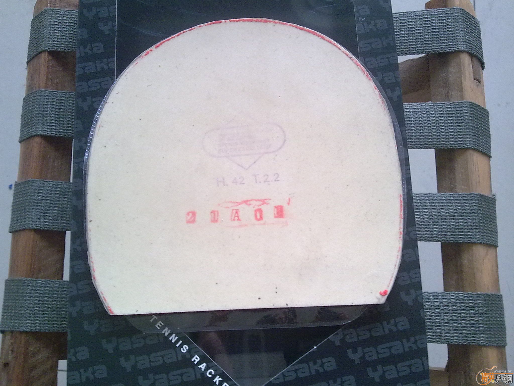 ������׽�