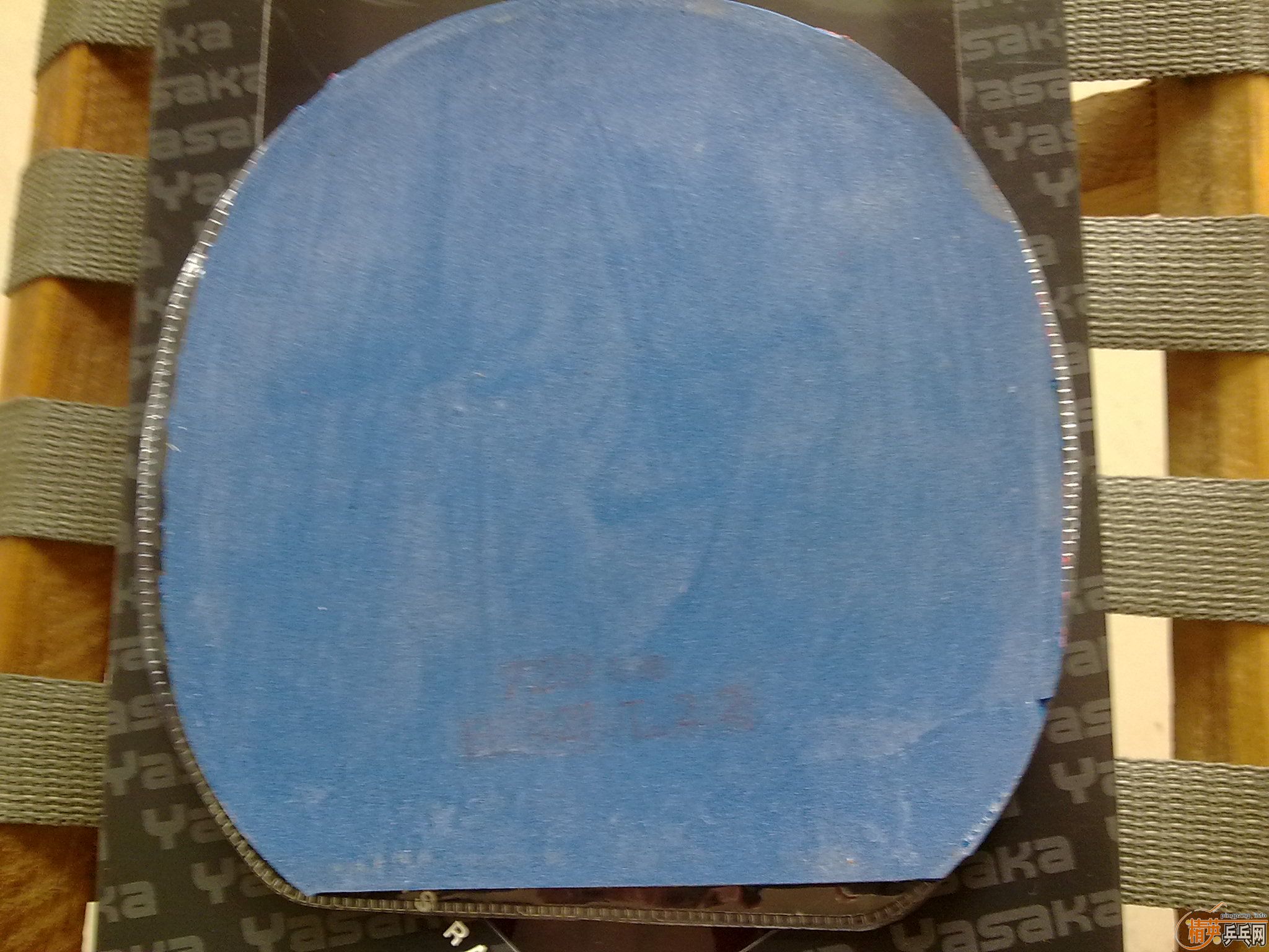 ������׽�