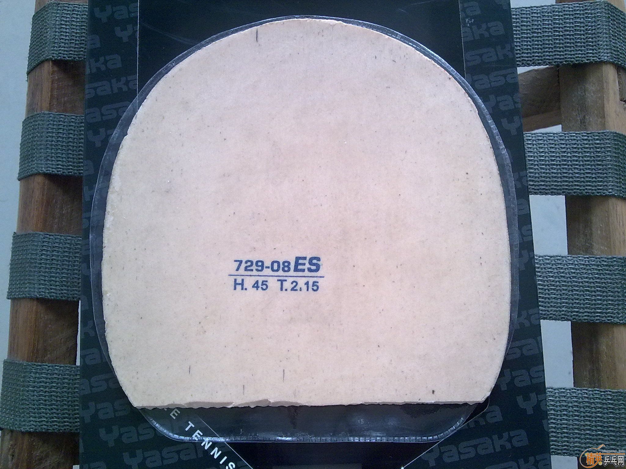 ������׽�