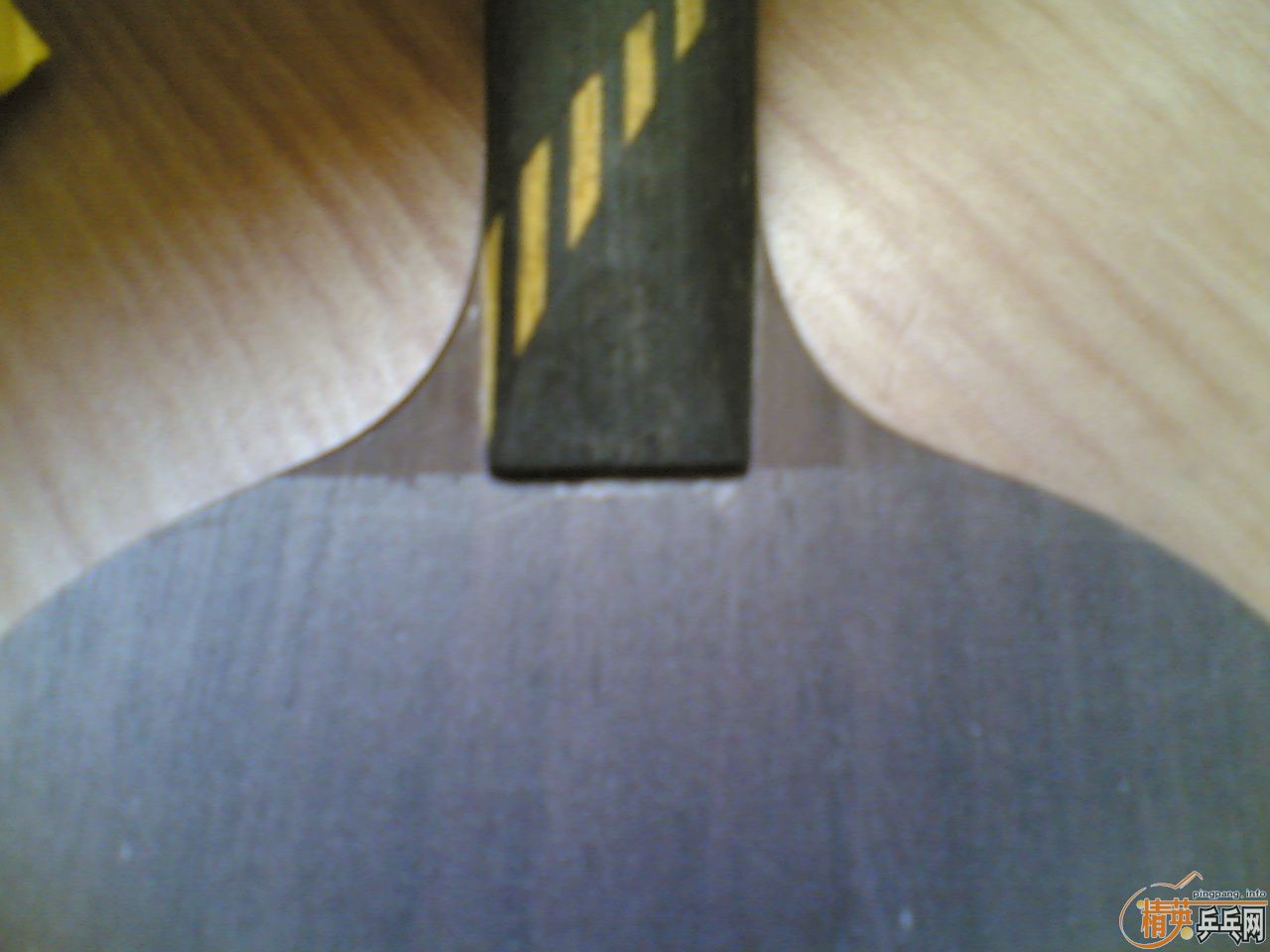 1C53kXJ5.jpg