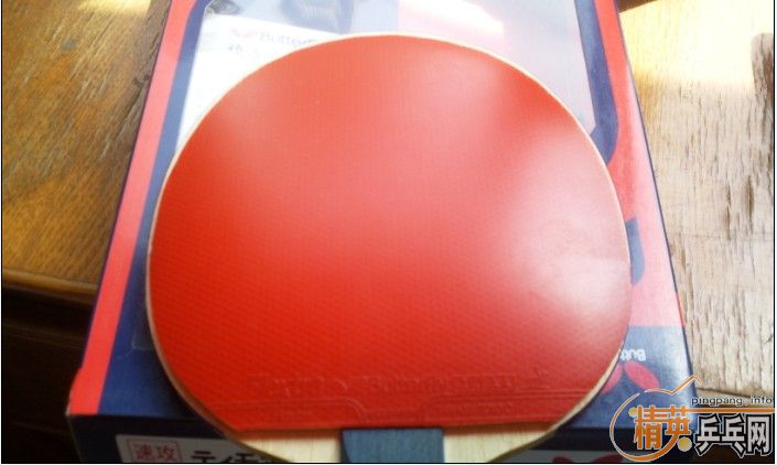 �����ź����Ľ�Ƥ��CERMET��sriverFX��Flextra�����£�ȫ���Ǻ�ɫ�ġ�