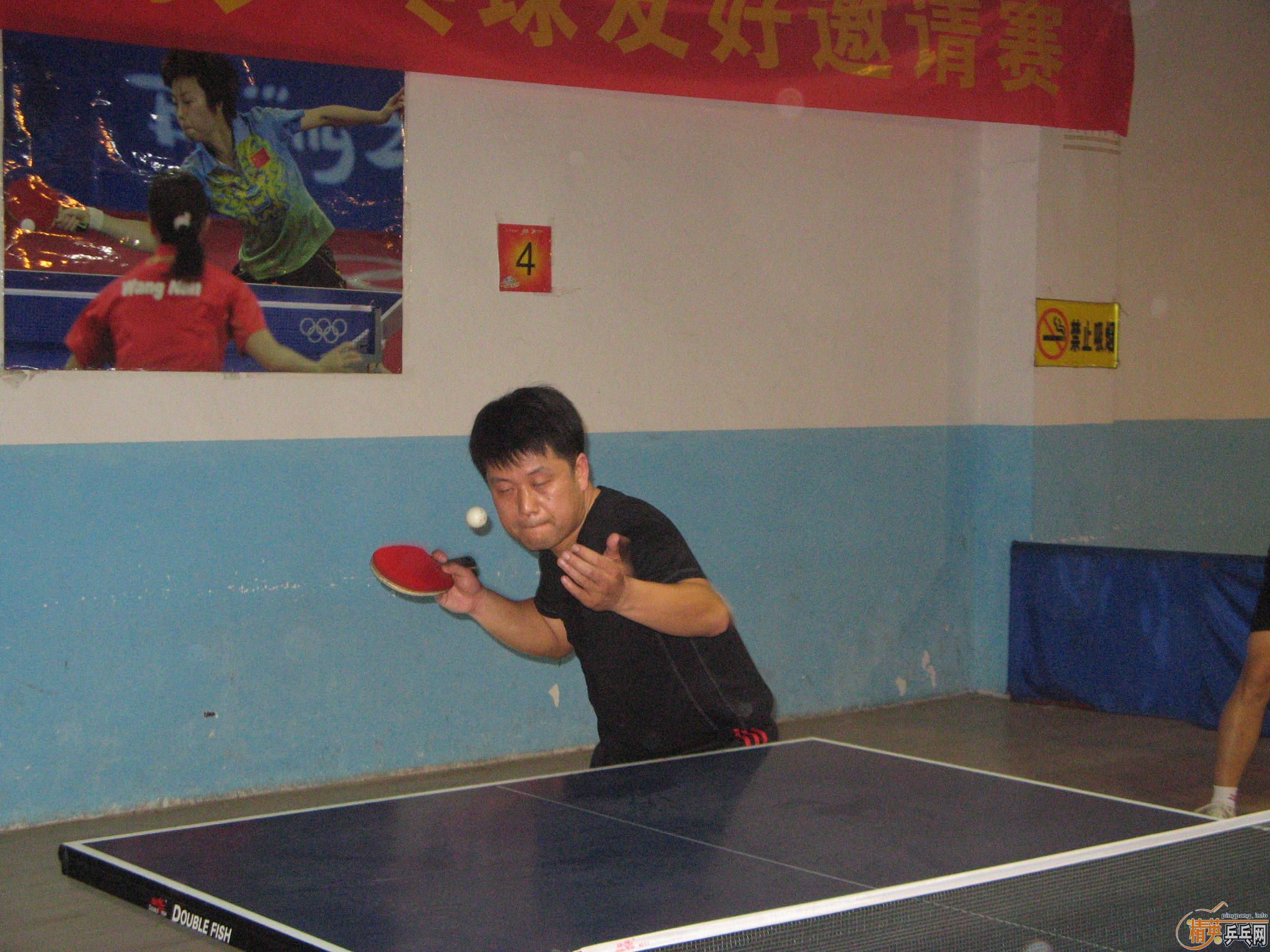 ӢൺƹѾֲ֮2011µʵ