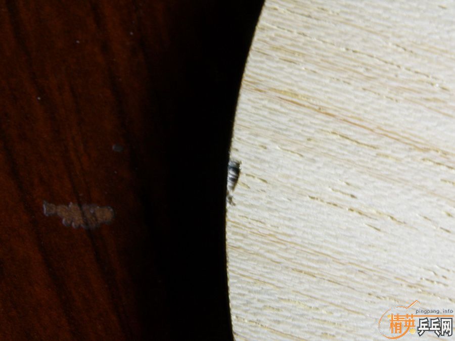 ���ͻ����������������Ʒ�л�����zlc��ֻ�����Σ�Ʒ����������Ӣ�л��ϲ���������85��ֻ�����ε�T05�׽�����zlc���棬�����ͻ�����Ҳ���ͣ�����