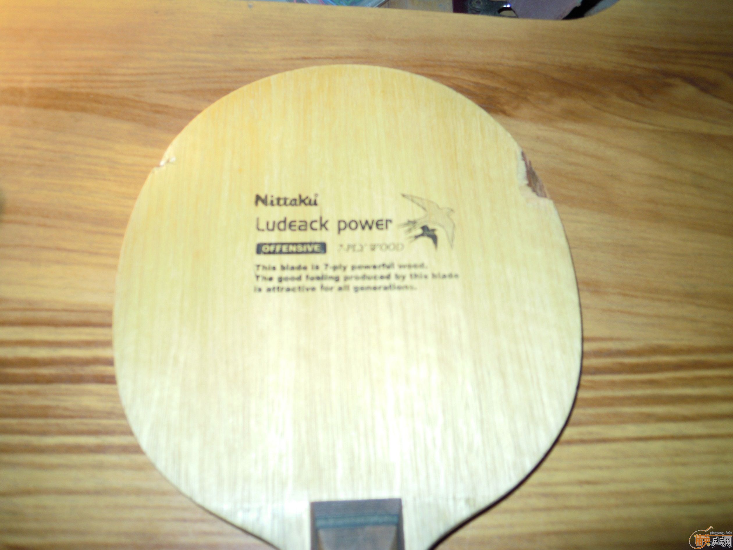 ֧�������˳����˴���ϲ��ʵ�ݵ����ѿ����