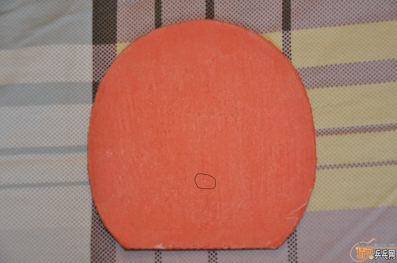 ��۳�����С���ٴ����SPEED+����T64