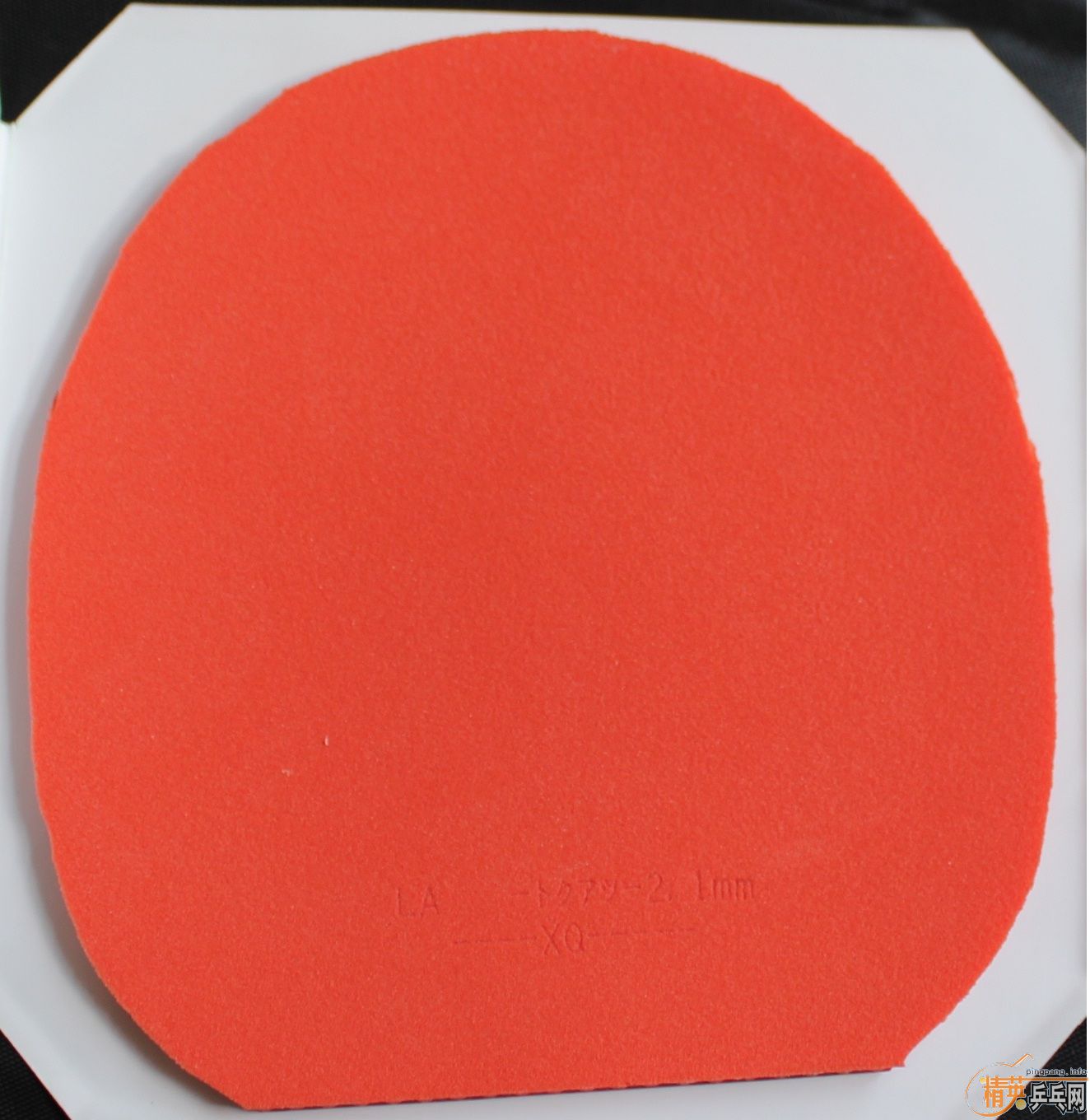 ��T64,�л�ʡ��,����տ��һ��