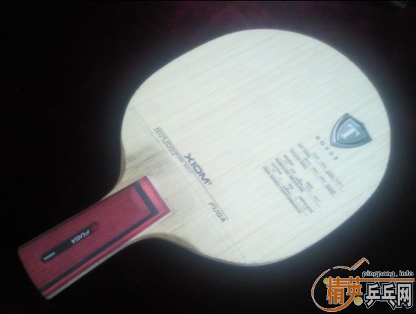 ��֧���������������壬EG�ͽ���FUGA��350���ʡ�