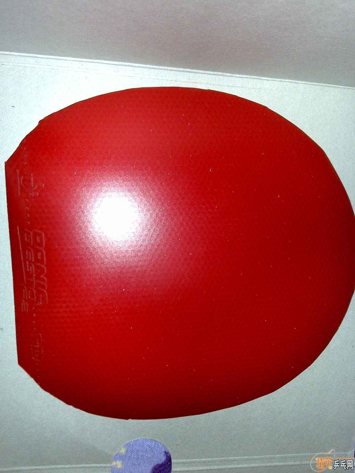 ����ɫF2����ɫ����