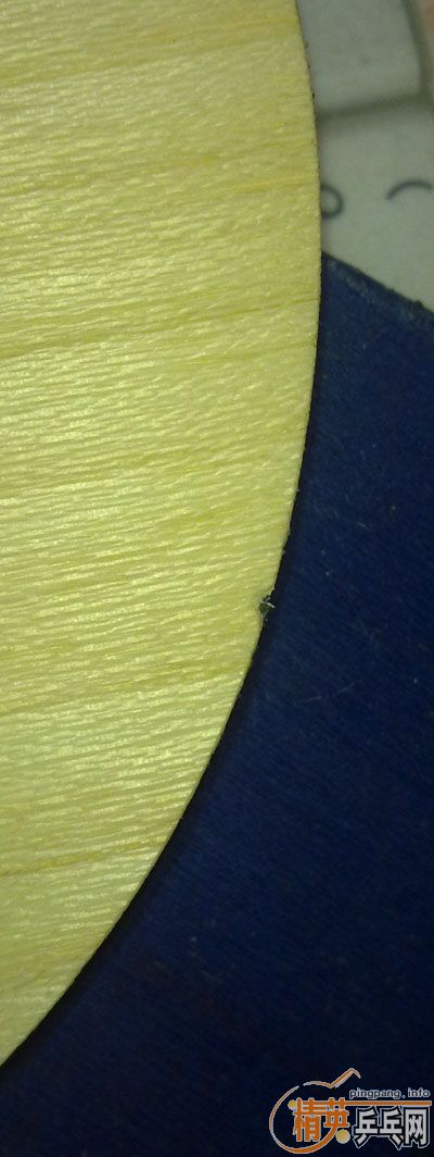 �������� timo boll spirit fl tbs ���򻻺�����