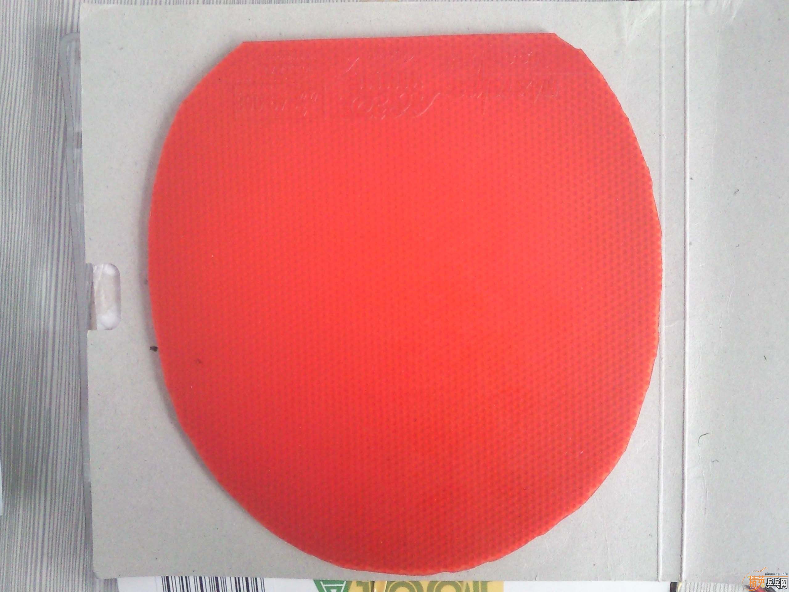 ���¿��� 50���Ϻ���רҵ��40��̫���׽� �� �����׽�