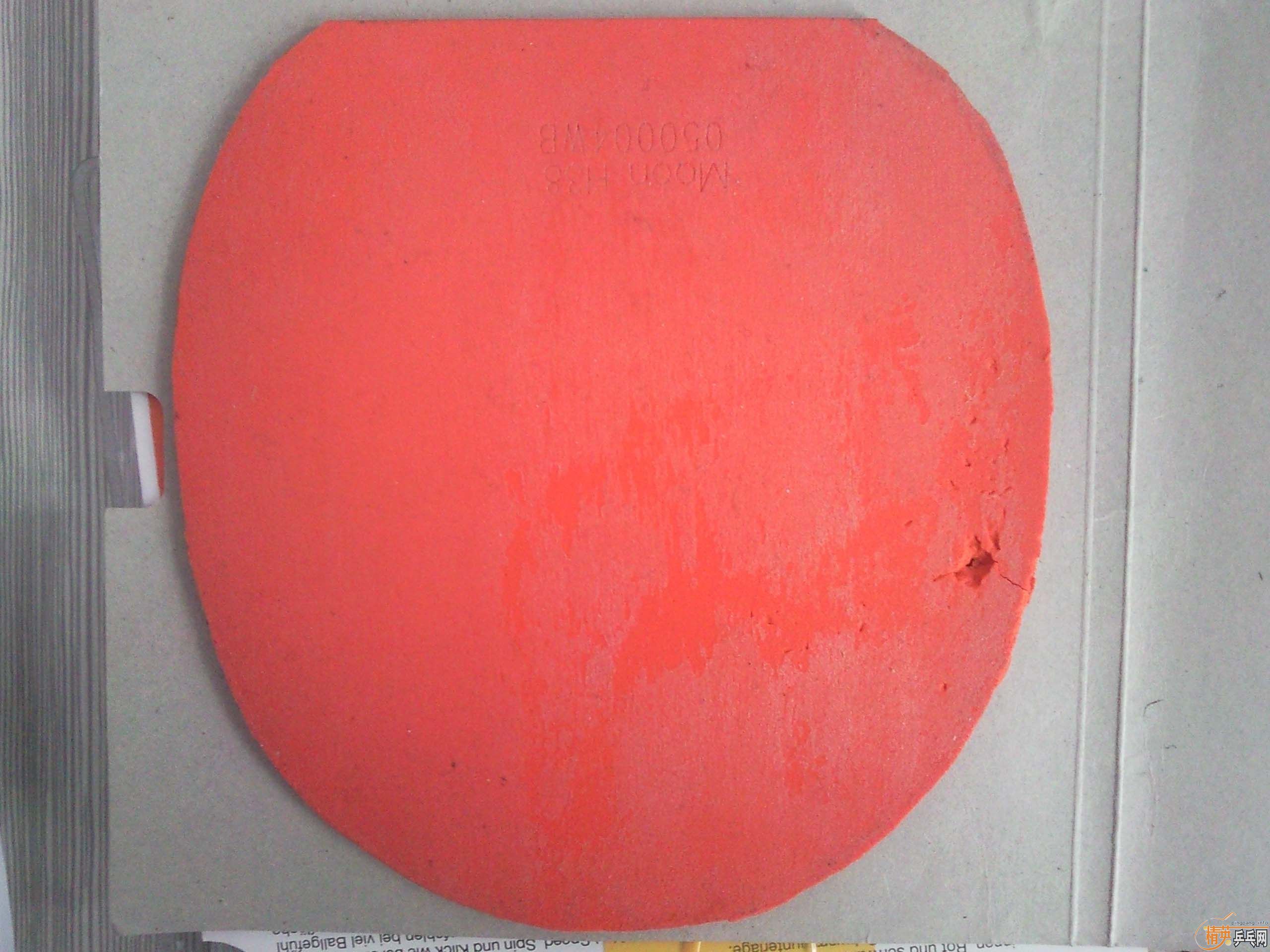 ���¿��� 50���Ϻ���רҵ��40��̫���׽� �� �����׽�