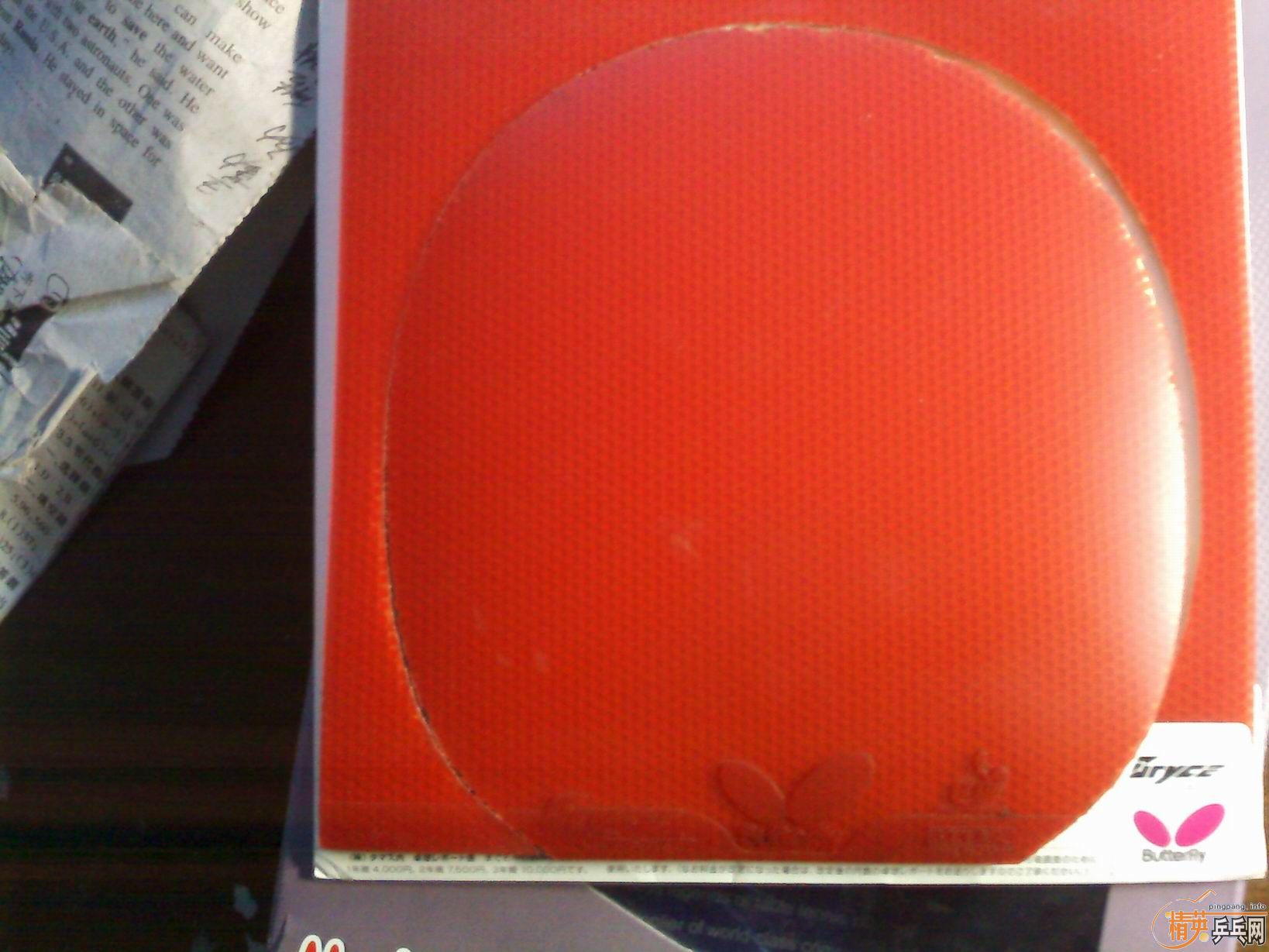 ���������ý��µĴ��SPEED