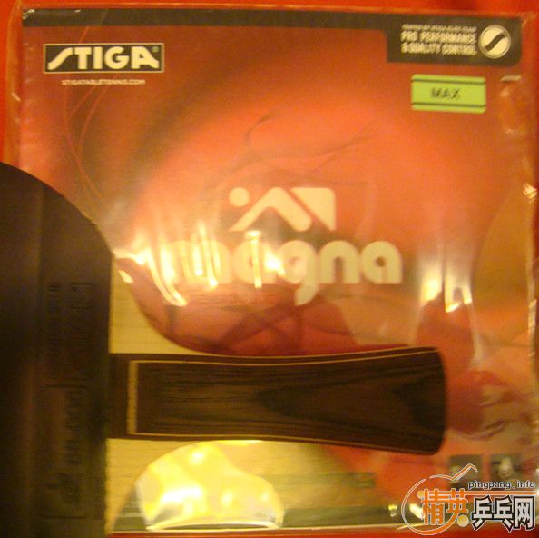 MAPLE WOODװԼPOWER LTMAGNA TC ׽