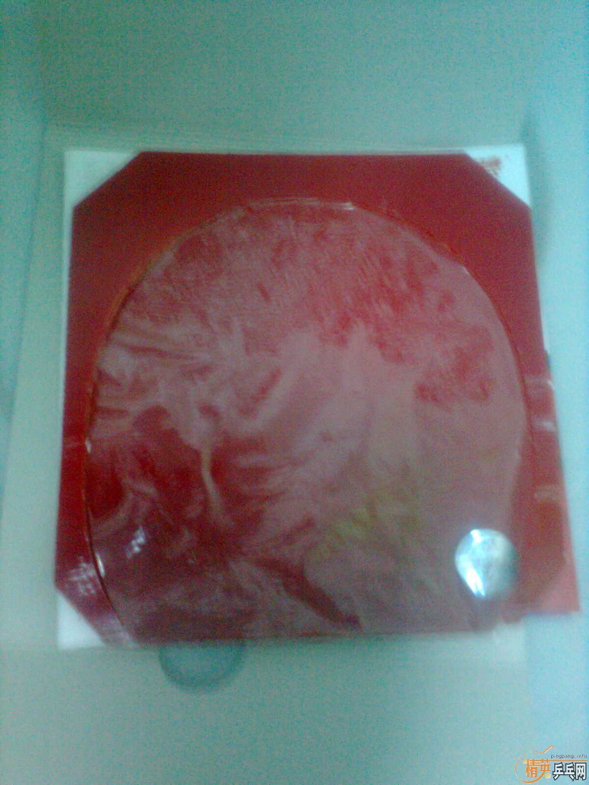 ���� ����õװ�