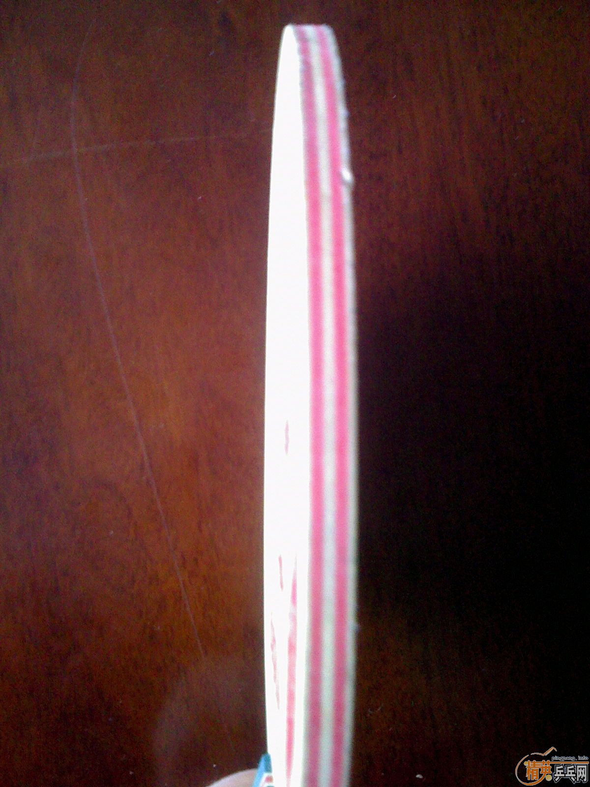 joola  viva   st.��һֻ�߲�FL�����ڰ�