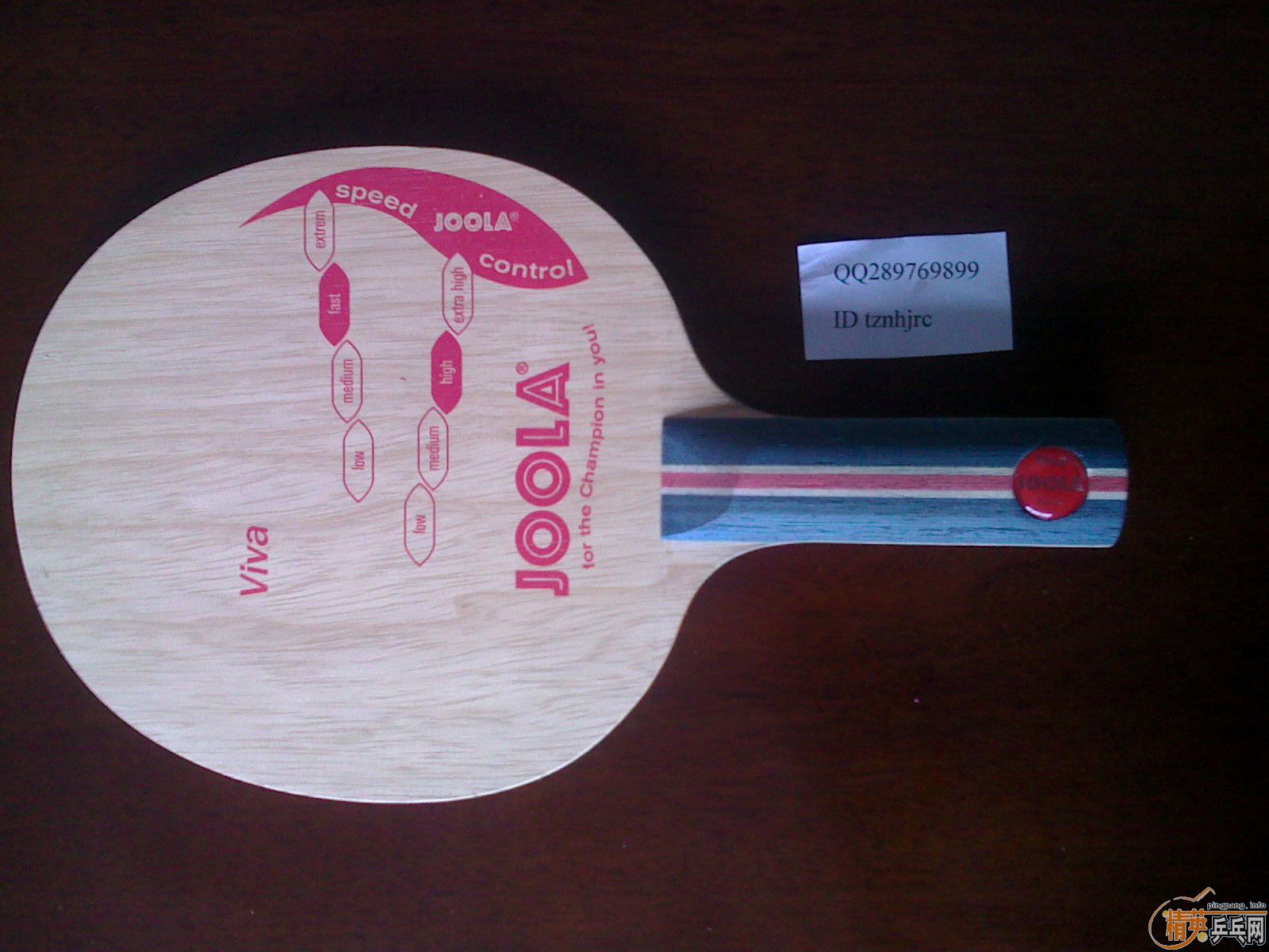 joola  viva   st.��һֻ�߲�FL�����ڰ�