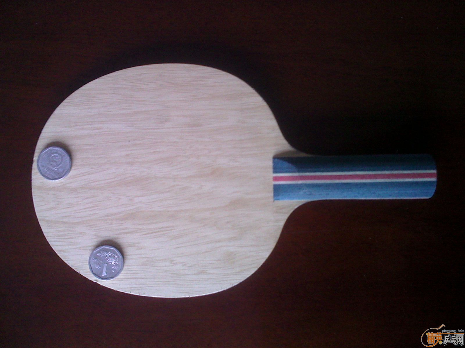 joola  viva   st.��һֻ�߲�FL�����ڰ�