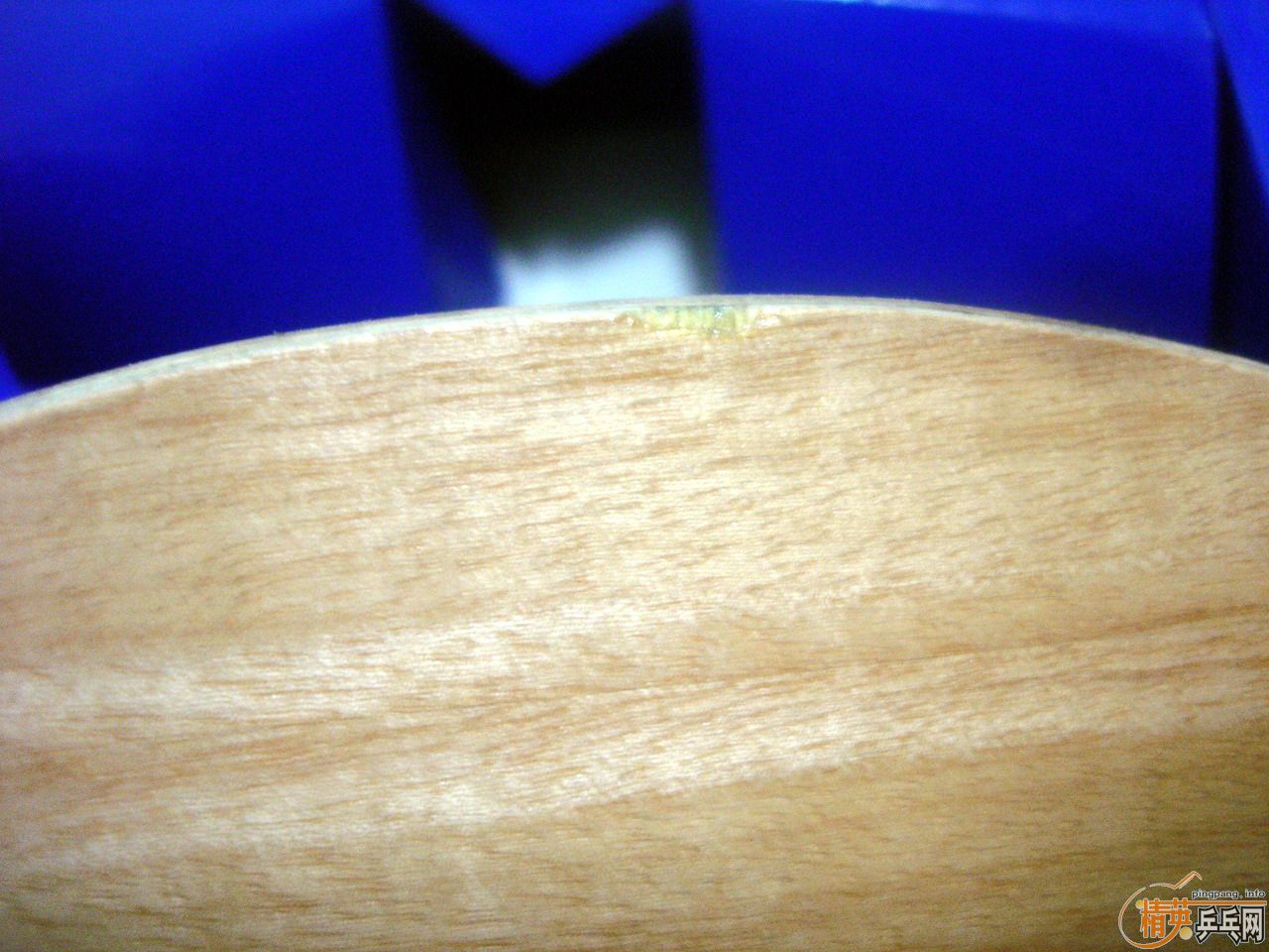 �հ�����������