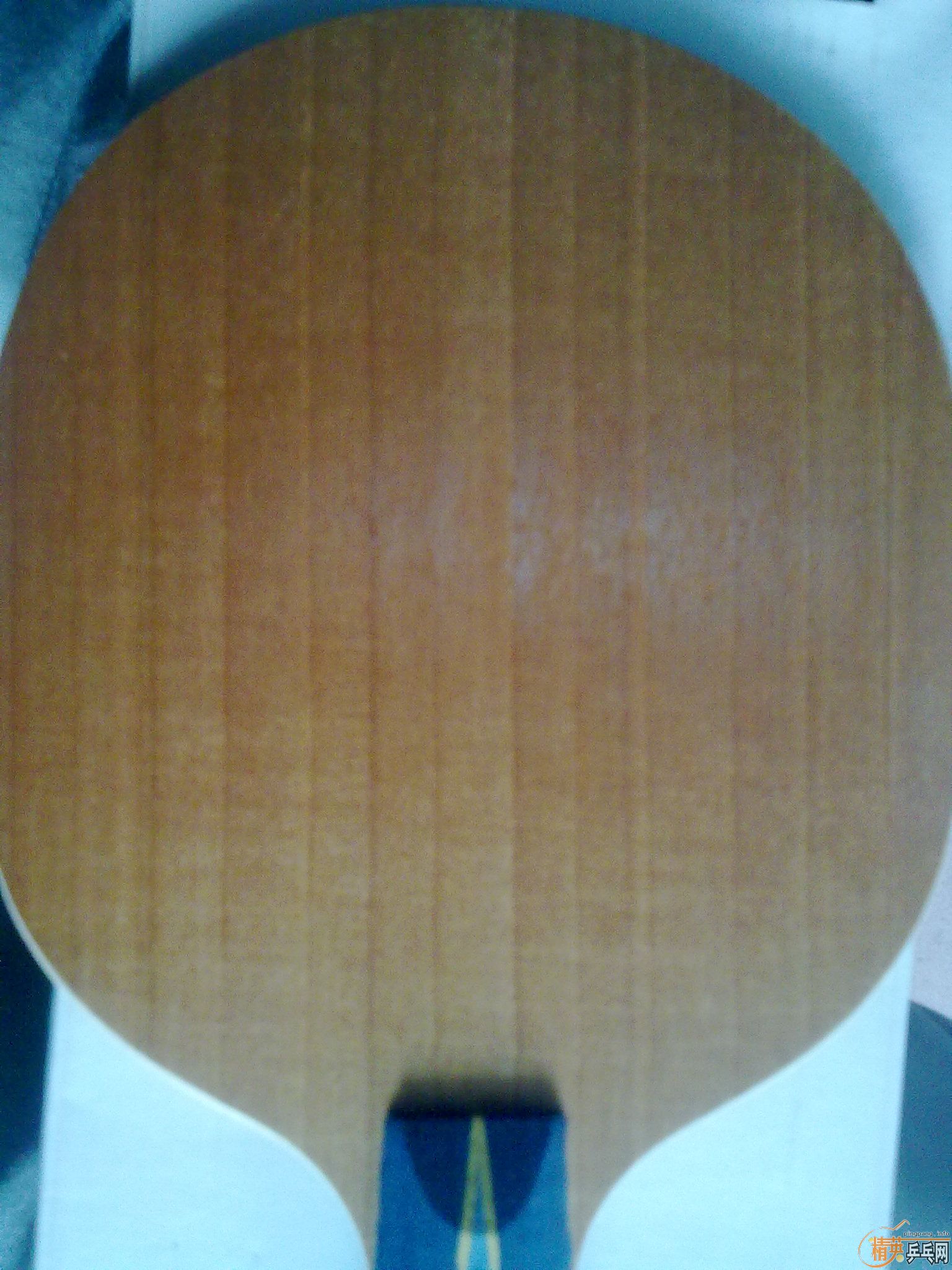 �հ�YE�����