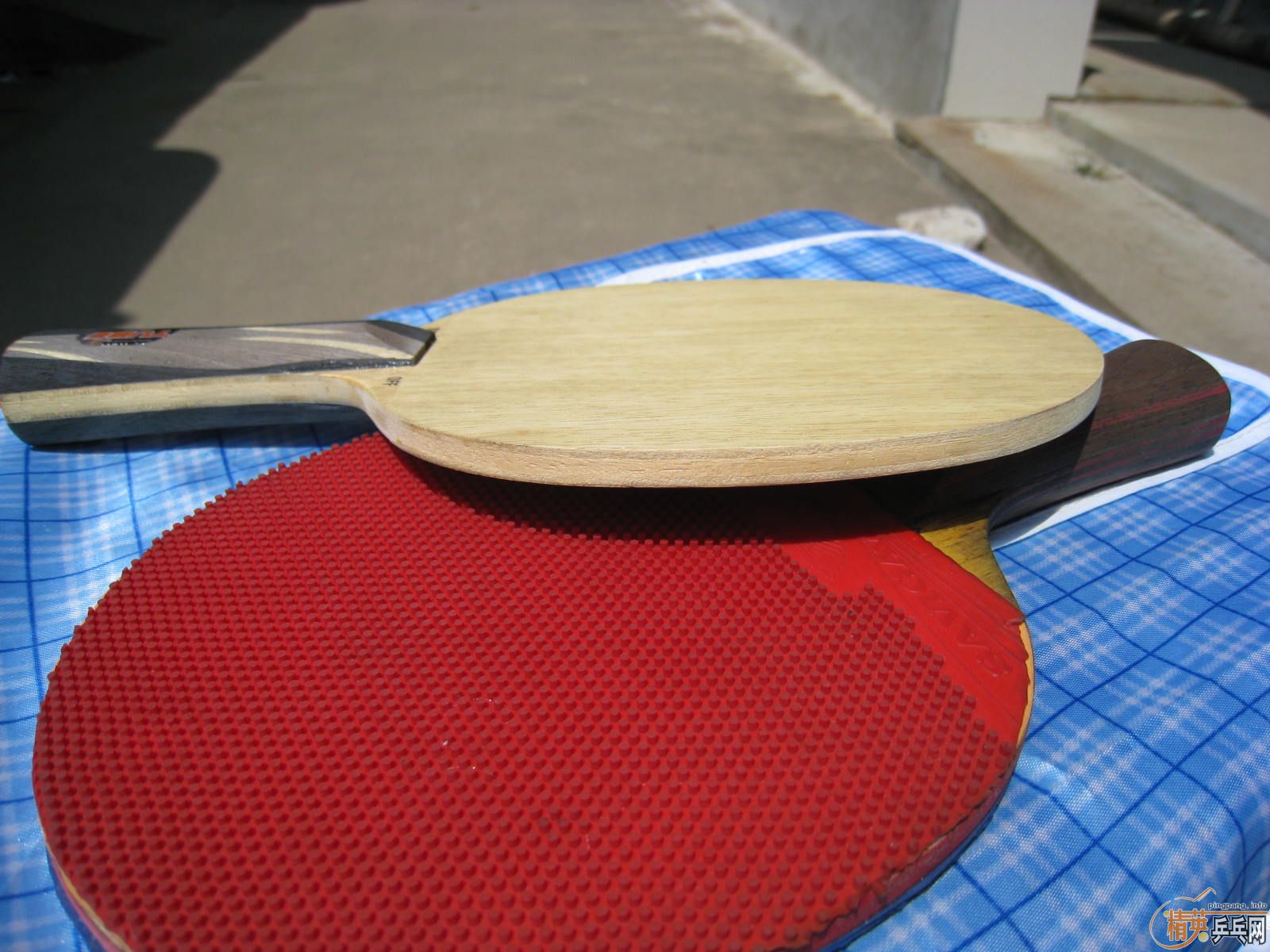 215���� ��˹�ٿ�TO �ó�ɫ����֧����������������������