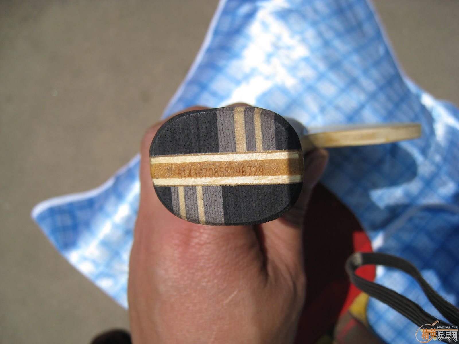 215���� ��˹�ٿ�TO �ó�ɫ����֧����������������������