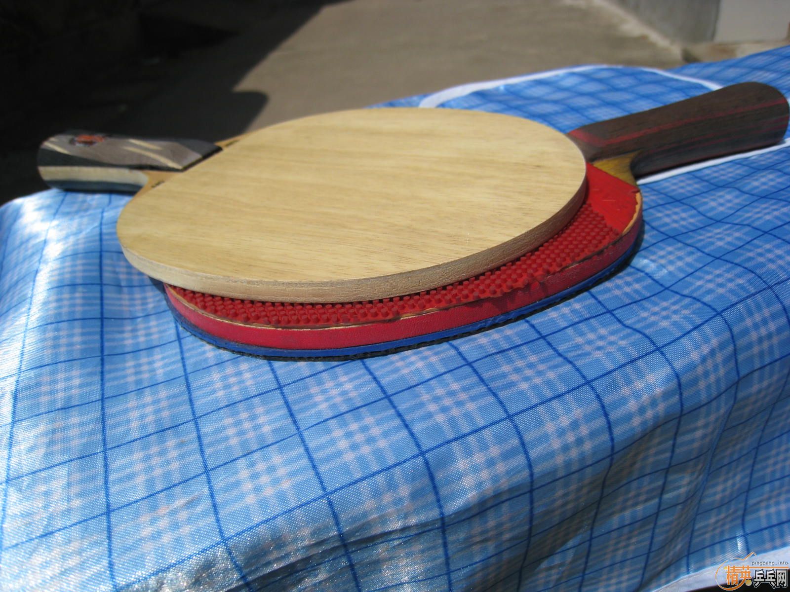 215���� ��˹�ٿ�TO �ó�ɫ����֧����������������������