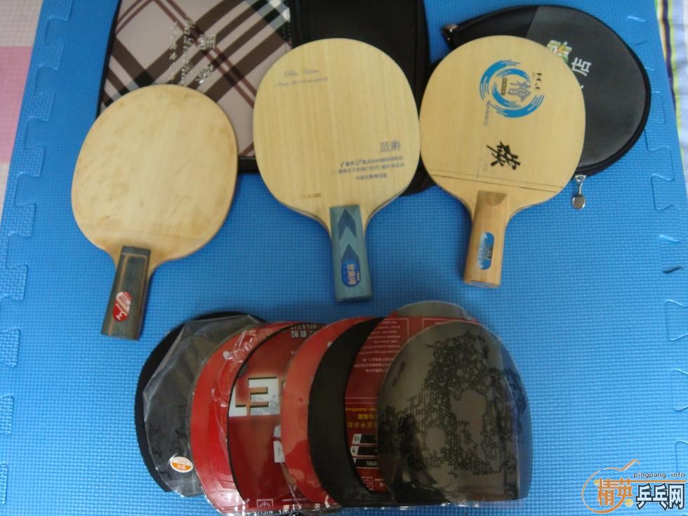 ��һ�ѽ�Ƥ����쭶����������279-08���켫������С�������