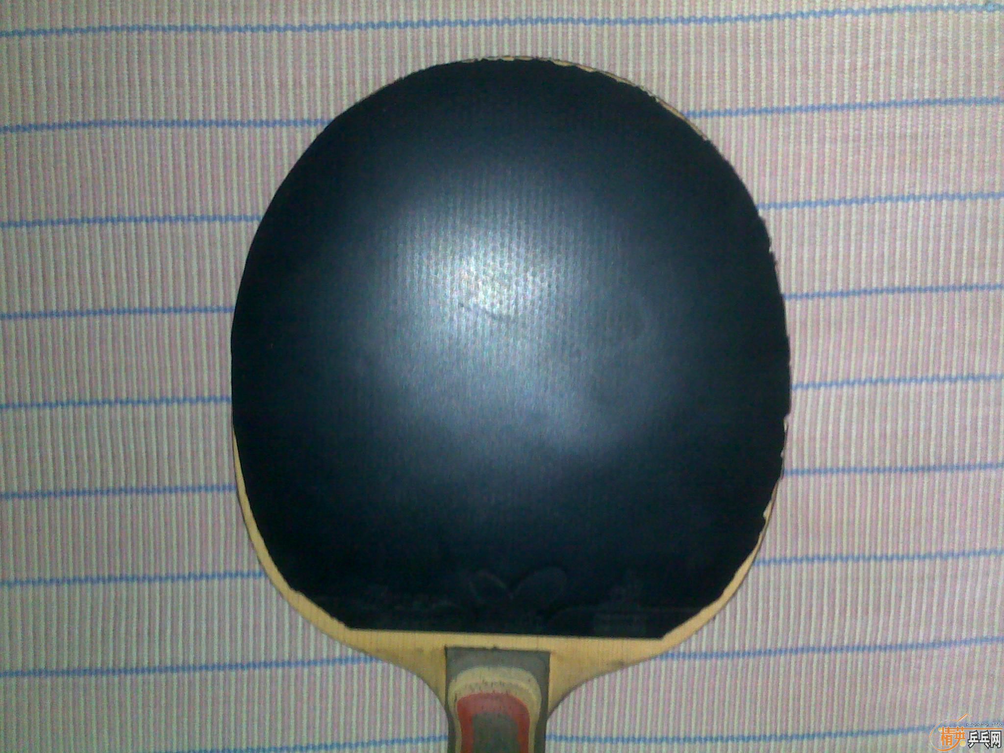 ��ֹ�ճ���Ʒ���� ���� ���� ����̼+���speed fx 2.1mm