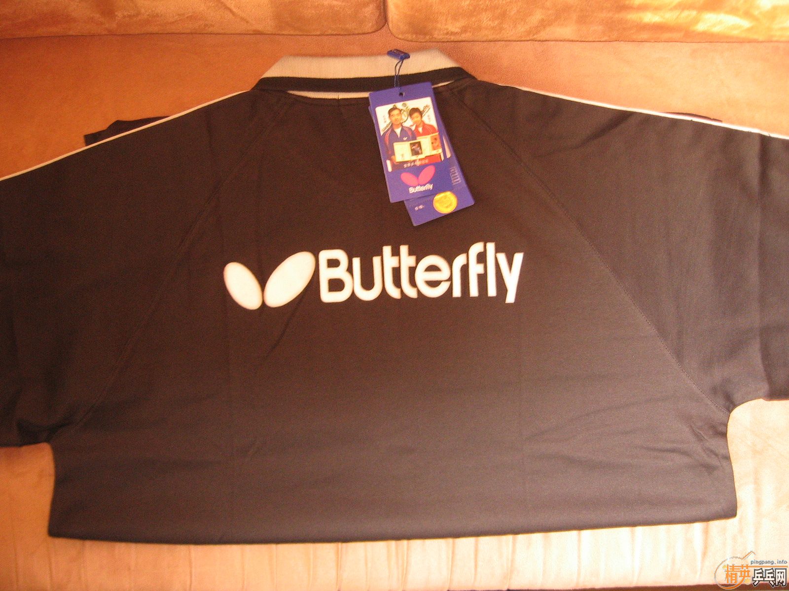 ʡ��41 40 �� ����T��