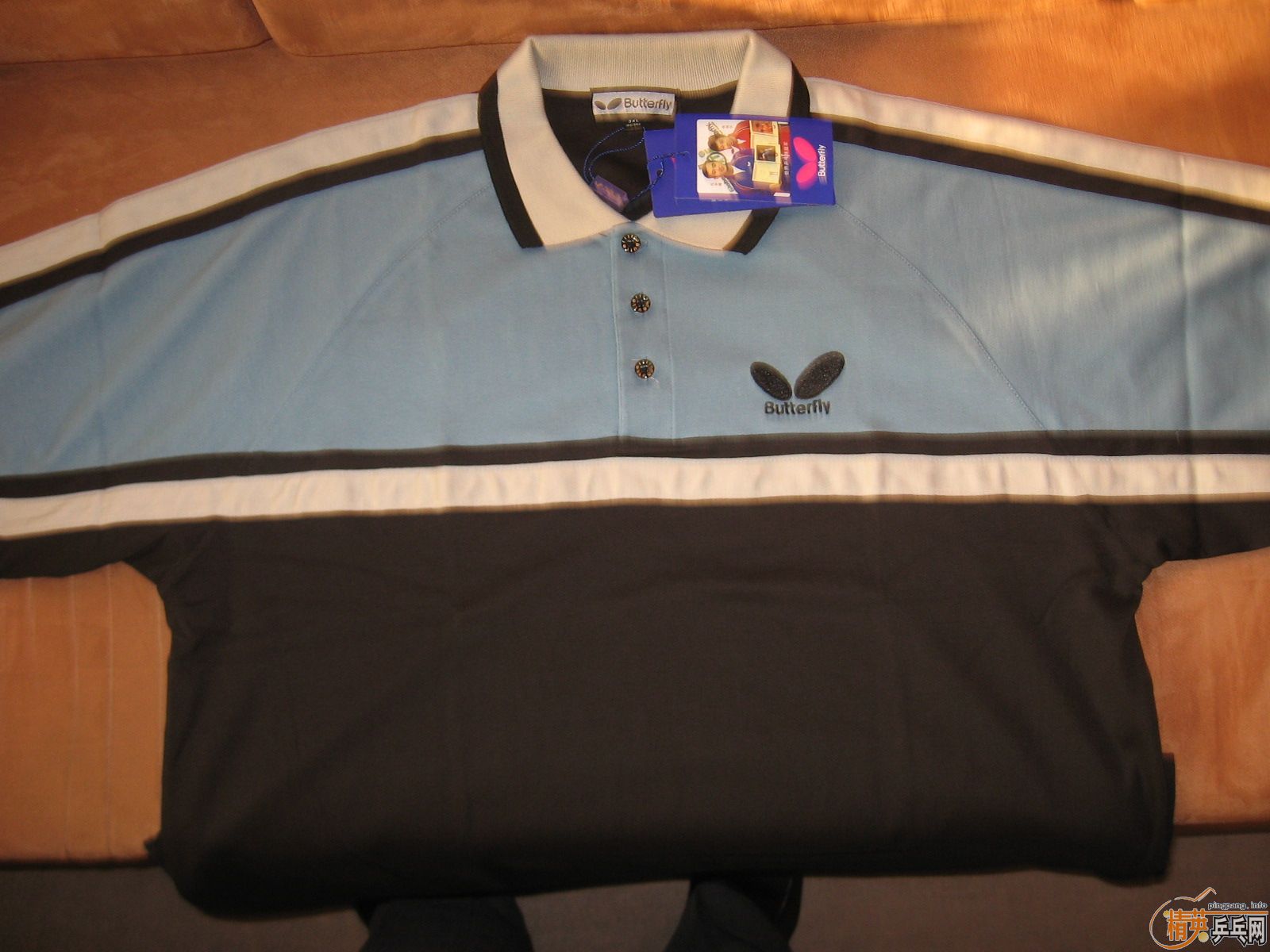 ʡ��41 40 �� ����T��