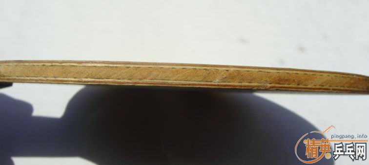 ��֧�������������������ɭ������ά�����ֱ��ò�Ʊ�05�������٣����ղأ�251���ʣ�QQ49620741