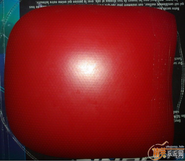 ���˲��ٵװ壬�����һ�γ���Ƥ��С�����ų���1.9���ࡡ���������ֱ����